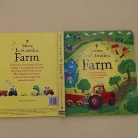 Look Inside A Farm Hardcover – January 1, 2001英文原版儿童书9781409538868