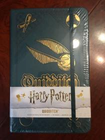 哈利波特原版标准版尺寸魁地奇笔记本harry potter quidditch