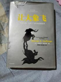 让大象飞:激进创新，让你一飞冲天的创业术