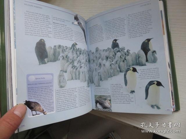 The Concise Nature Encyclopedia简明自然百科