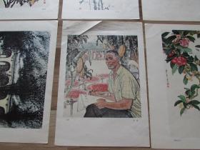 广东国画选.全套24张