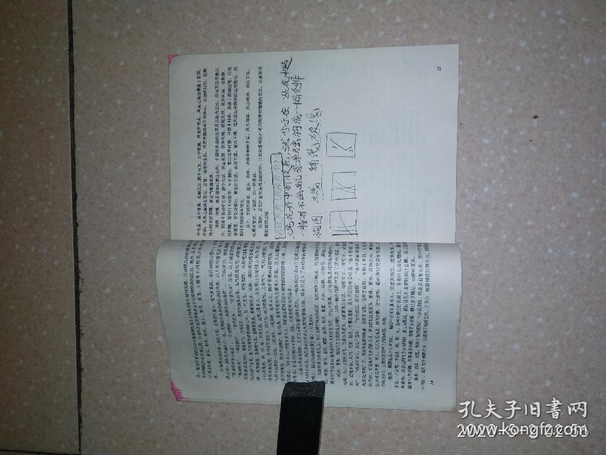 点击查看原图 中国画花卉写生