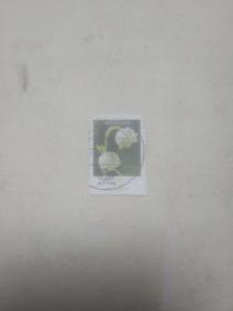 外国邮票小邮票 白色花朵图案