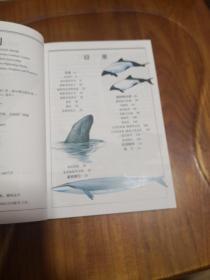 鲸与海豚：全世界79种鲸与海豚的彩色图鉴 【自然珍藏图鉴丛书】