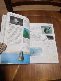 鲸与海豚：全世界79种鲸与海豚的彩色图鉴 【自然珍藏图鉴丛书】