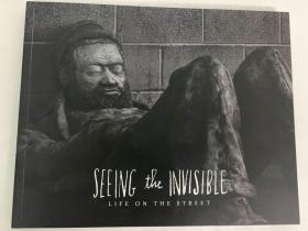 Seeing the Invisible : Life on the Street 看到看不见的人 英语平装