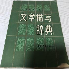 文学描写辞典 小说部分（上）