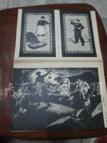 美术插页两面画2张：南海凯歌（木刻）张晃 作，平凡的工作，光荣的岗位（剪纸）王钱松 作，瞄活靶（木刻）余其万 作，雪地练骑（木刻）罗仕贵 作