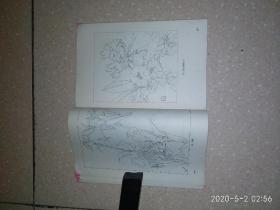 中国画花卉写生