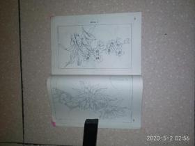 中国画花卉写生