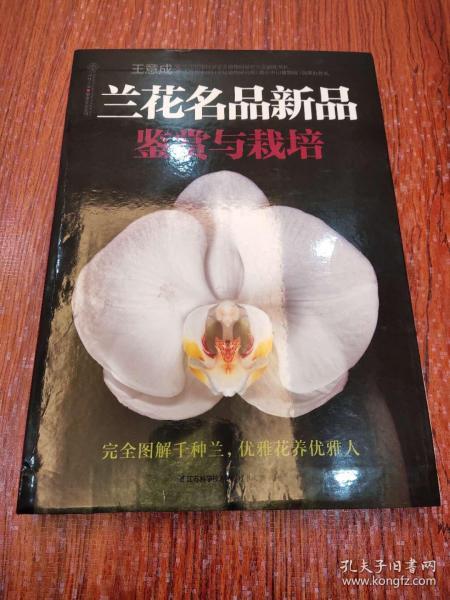 兰花名品新品鉴赏与栽培