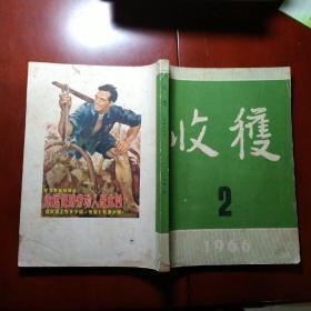 收获1966年第2期