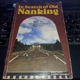 in search of old nanking