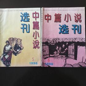 中篇小说选刊 双月刊(1996年5-6期)