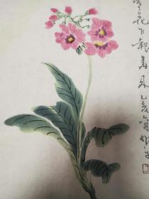 写意花鸟画国画花卉画字画作品 水印画