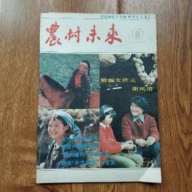 期刊  《农村未来》  1990.6