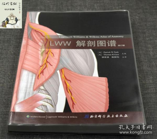 LWW解剖图谱