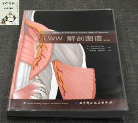 LWW解剖图谱
