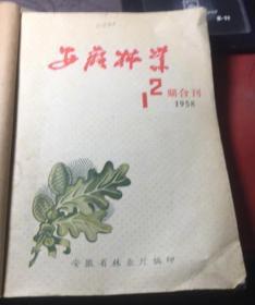 正版     安徽林业1958年1-12期【1-2期合刊】合订本；一版一印