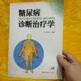 糖尿病诊断治疗学 叶山东