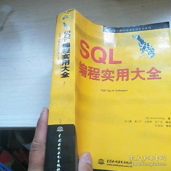 SQL编程实用大全