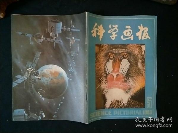 科学画报1983年第5期