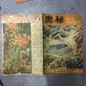 奥秘 1982年画刊   第6期