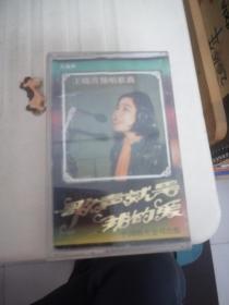 歌声就是我的爱