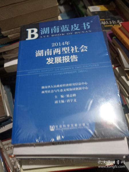 湖南蓝皮书：2014年湖南两型社会发展报告（2014年版）