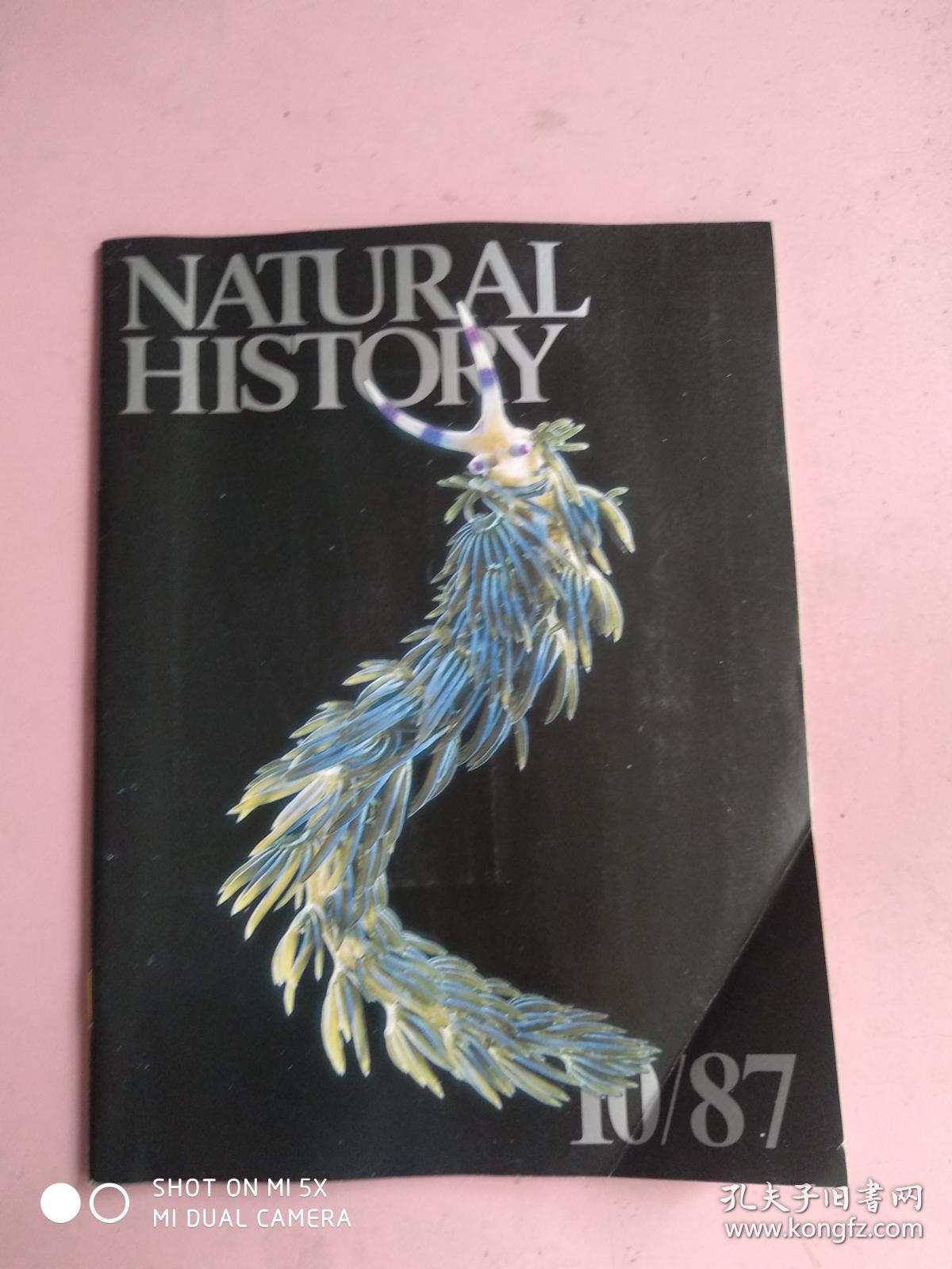 NATURAL HISTORY（1987年10月）