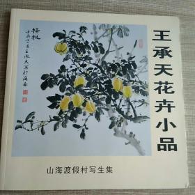 王承天花卉小品 海南山海渡假村写生集