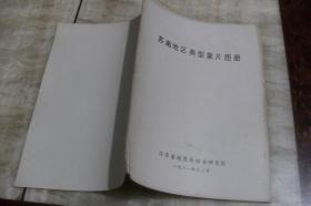 苏南地区典型象片图册（平装16开  1981年12月印行  有描述有清晰书影供参考）
