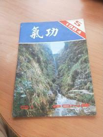 气功杂志  （1984年第5期）