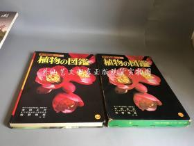 日文原版：植物の图鉴  1973年版