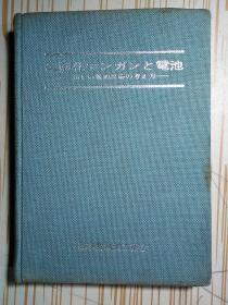 二酸化マソガ电池