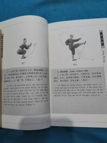少林传统功夫系列丛书：罗汉拳
