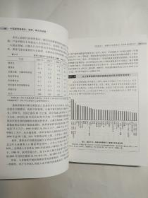 中国新型城镇化：道路、模式和政策