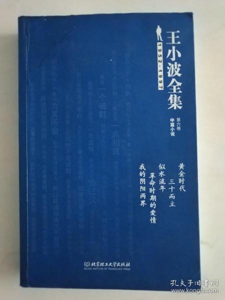 王小波全集（第六卷 中篇小说）：黄金时代 三十而立 似水流年 革命时期的爱情 我的阴阳两界