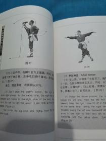 少林传统功夫系列丛书：罗汉拳