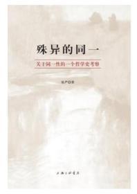 殊异的同一：关于同一性的一个哲学史考察.