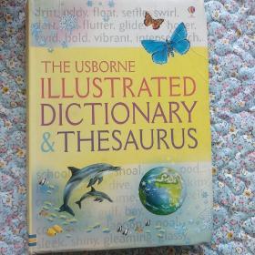 The usborne illustrated dictionary & thesaurus