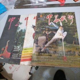 中华武术杂志1985一一1，2，3，4