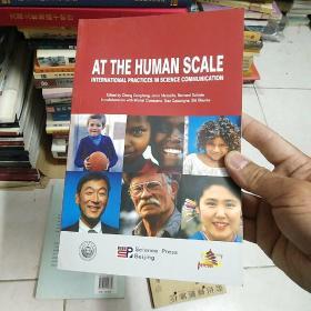 AT THE HUMAM SCALE