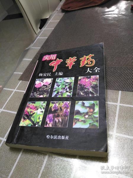 实用中草药大全