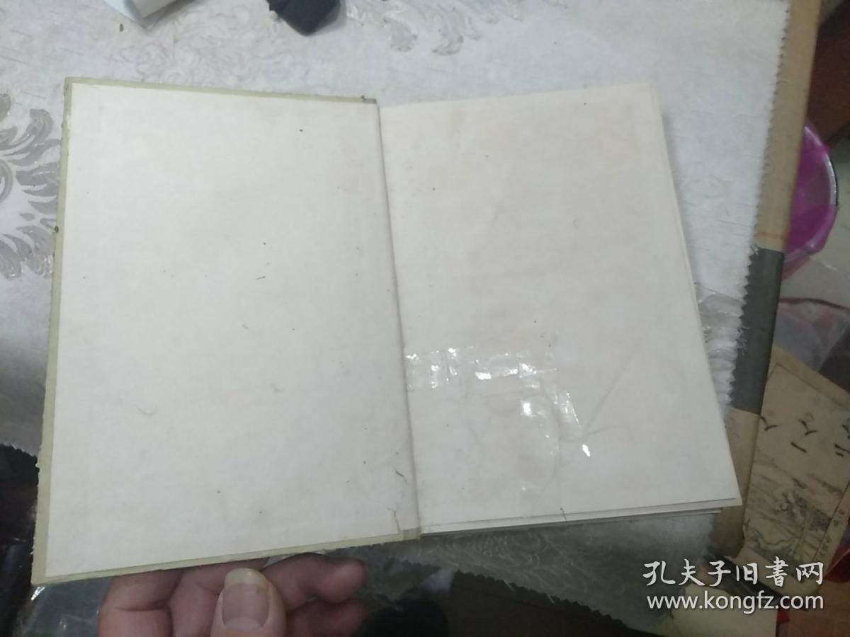 华南区标准化石手册，中国区域标准化石手册