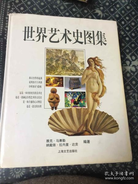 世界艺术史图集，精装