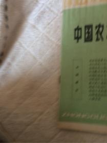 中国农村医学