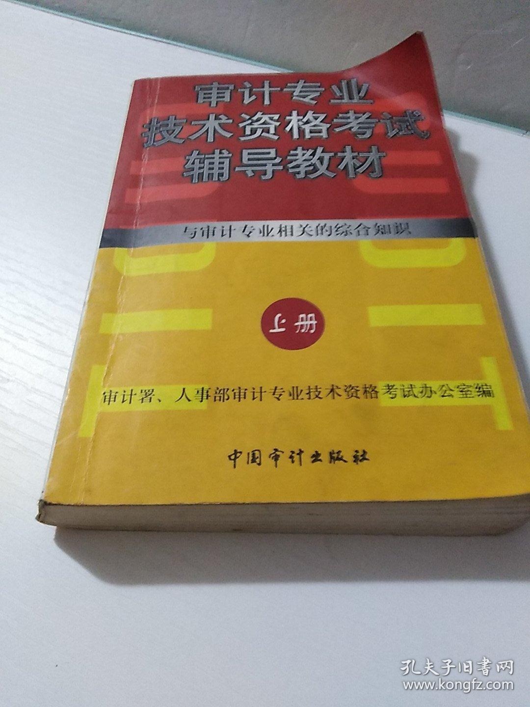 正版 1998年审计专业技术资格考试辅导教材