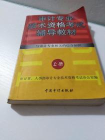 正版 1998年审计专业技术资格考试辅导教材