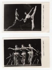 80年代书刊图片类------1979年中央歌剧舞剧院芭蕾舞团“鱼美人”演出剧照（黑白照片12张）